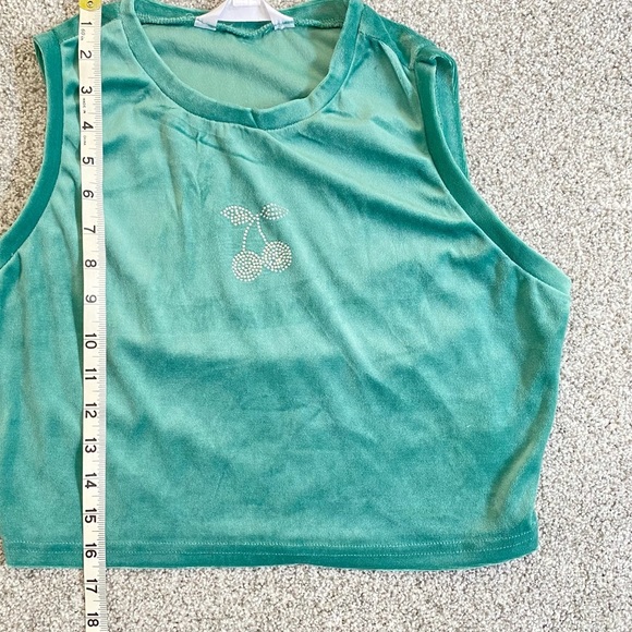 Birch & Stone ￼Crop Top - Picture 3 of 6